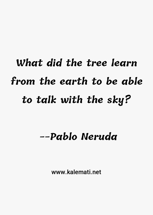 carpe diem quotes thoughts and