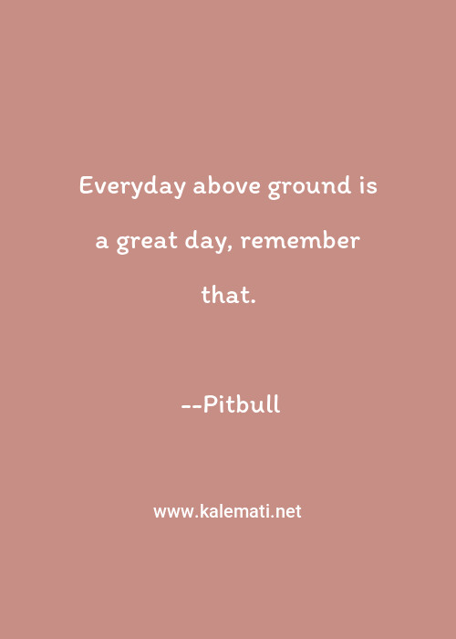 Pitbull Quote Everyday Above Ground Is A Great Day Remember That Everyday Quotes